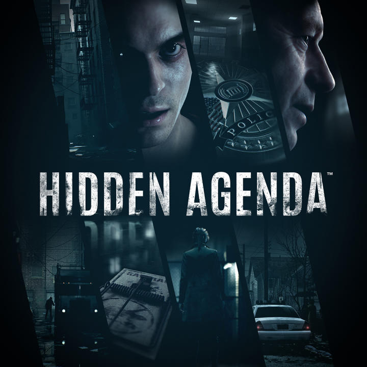 Купить Hidden Agenda