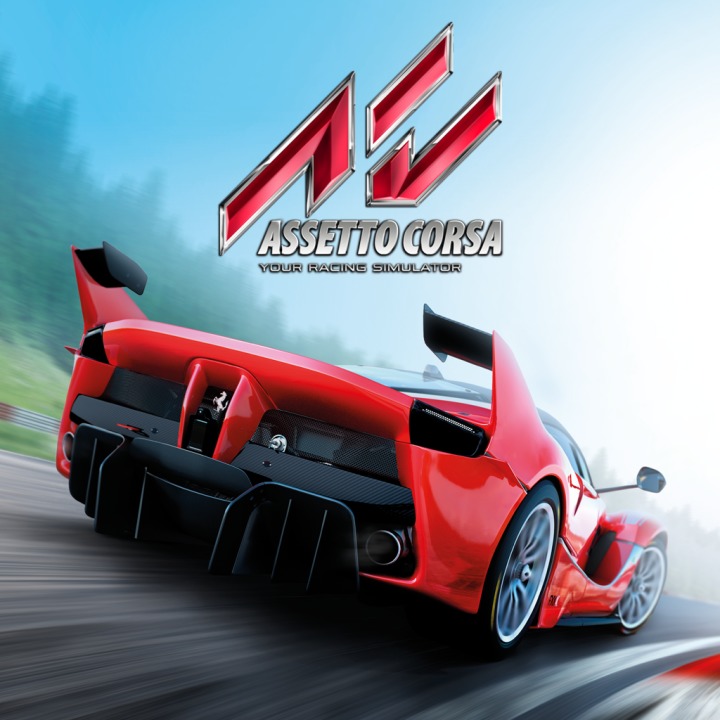 Купить Assetto Corsa