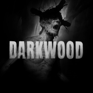 Купить Darkwood