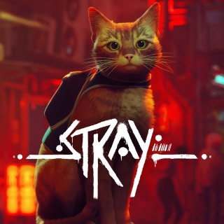 Купить Stray