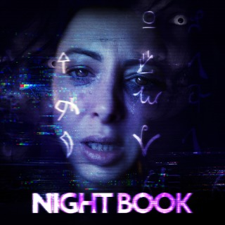 Купить Night book