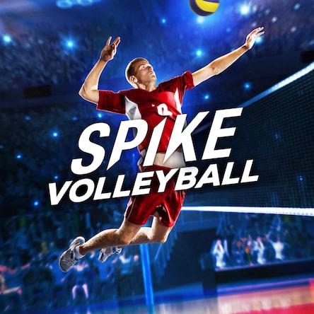 Купить Spike Volleyball