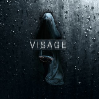 Купить Visage