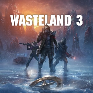 Купить Wasteland 3