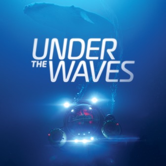 Купить Under The Waves